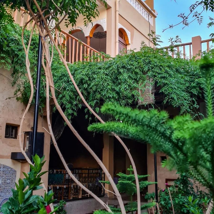 Apartamento Oasis De Tiout Exterior foto