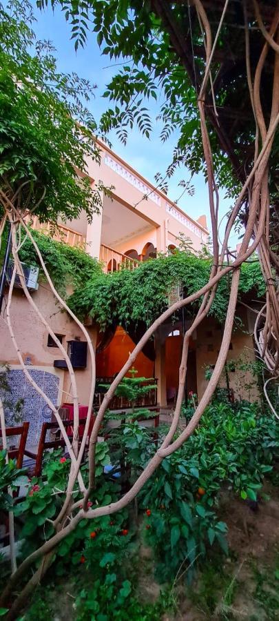 Apartamento Oasis De Tiout Exterior foto