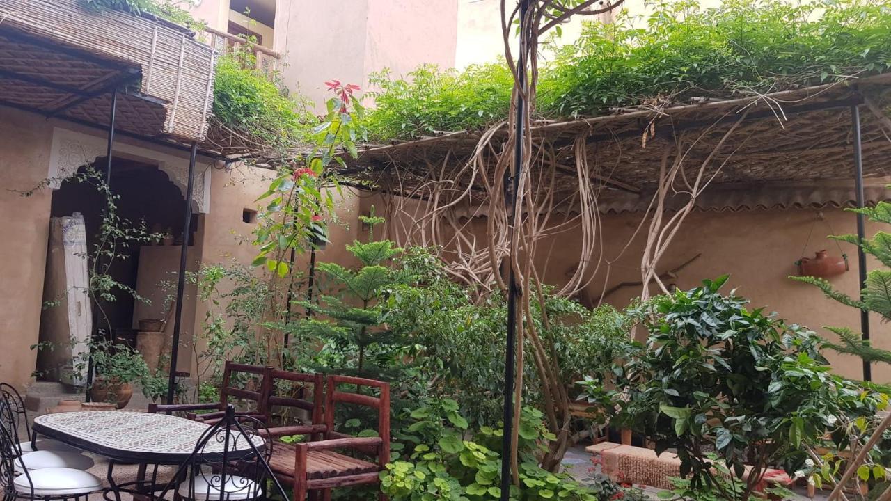 Apartamento Oasis De Tiout Habitación foto
