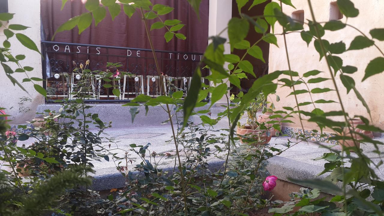 Apartamento Oasis De Tiout Exterior foto