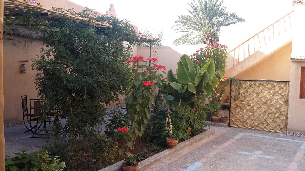 Apartamento Oasis De Tiout Exterior foto