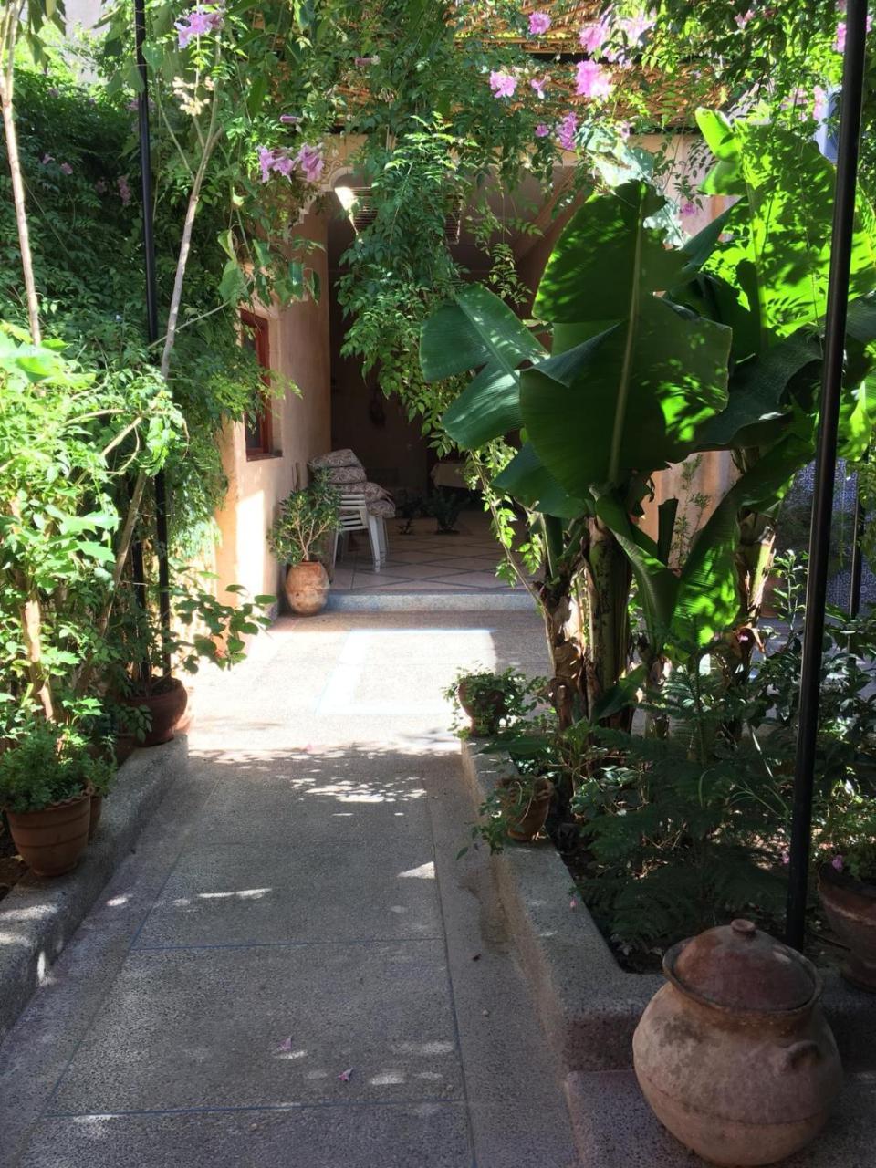 Apartamento Oasis De Tiout Exterior foto